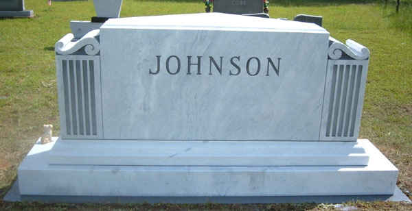 2009_JOHNSON